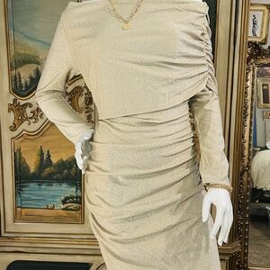 Mesh Champagne Gold Calf Length Dress